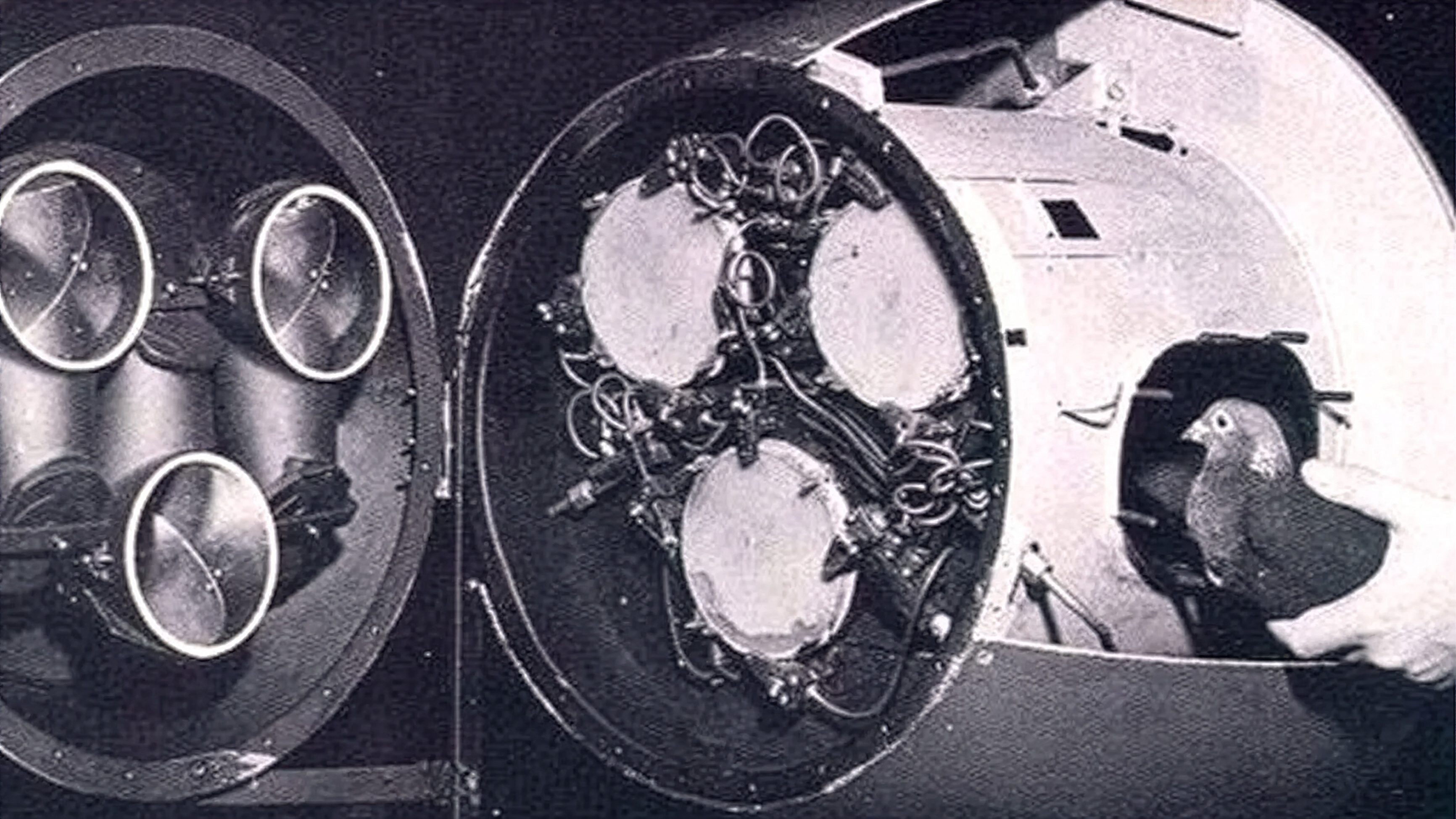 Güvercin güdümlü füze projesi şeması